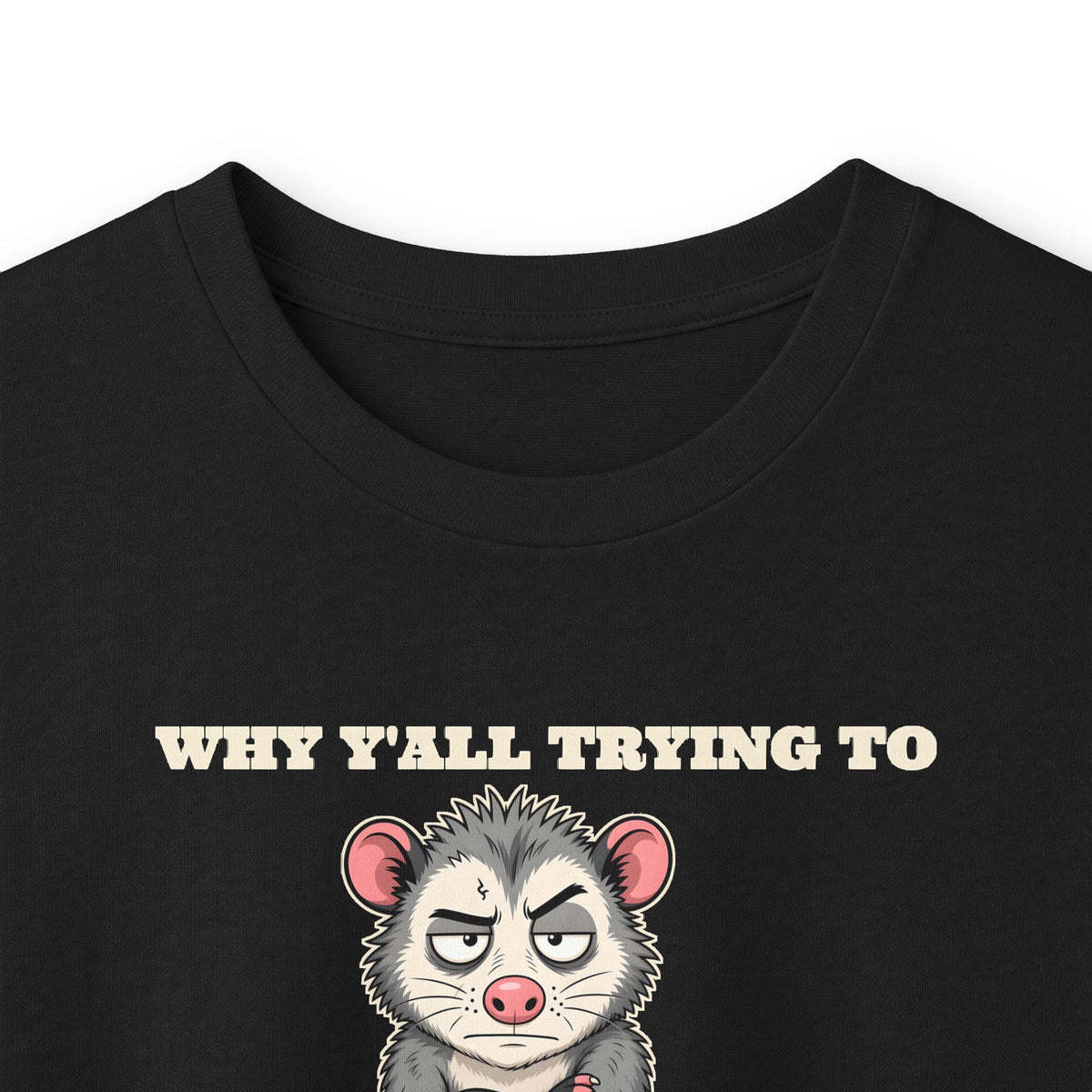 Why Y'all Trying to Test the Jesus in Me Possum Long Sleeve Tee – Back Porch Sass