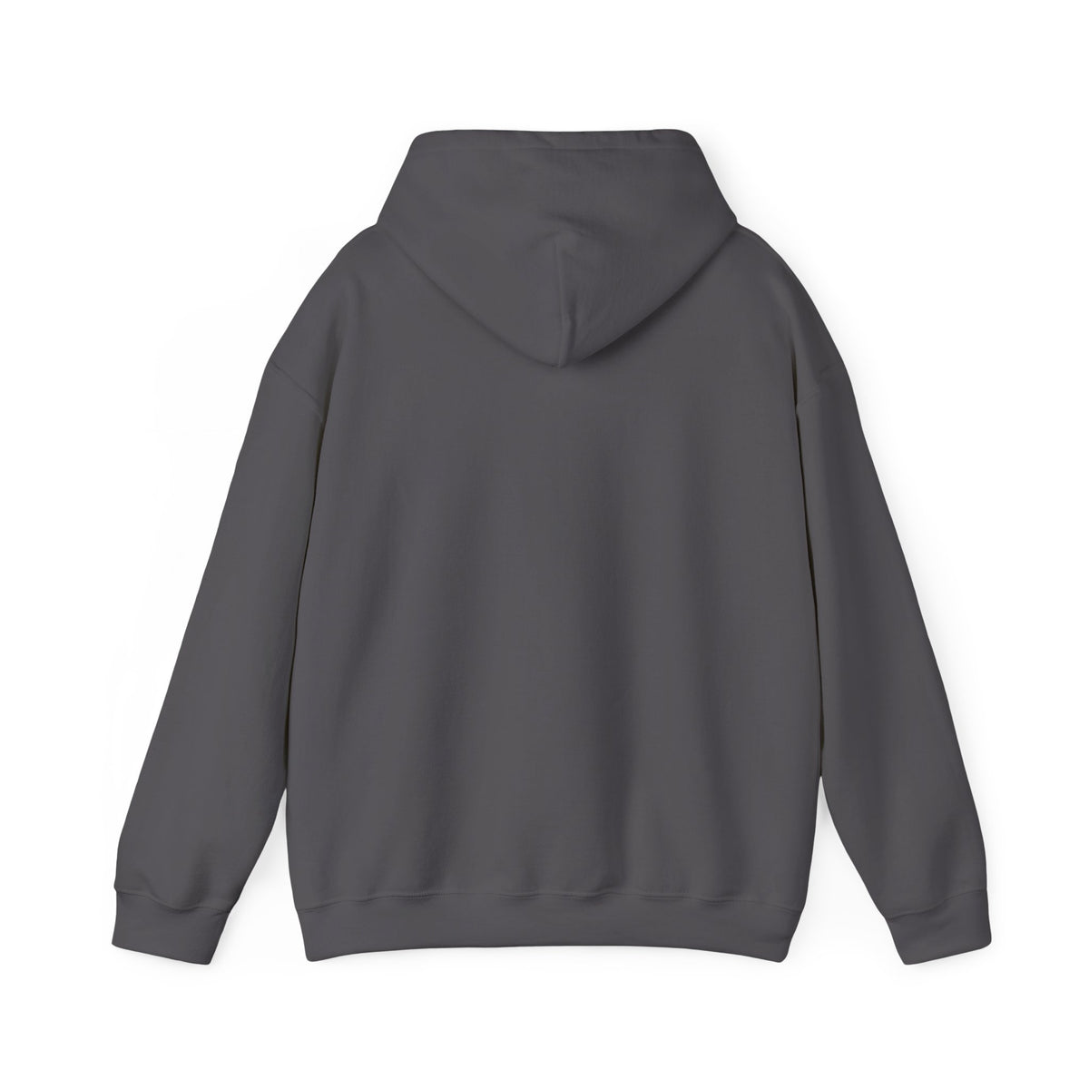Charcoal Stay Positive Logo hoodie, back view, plain back
