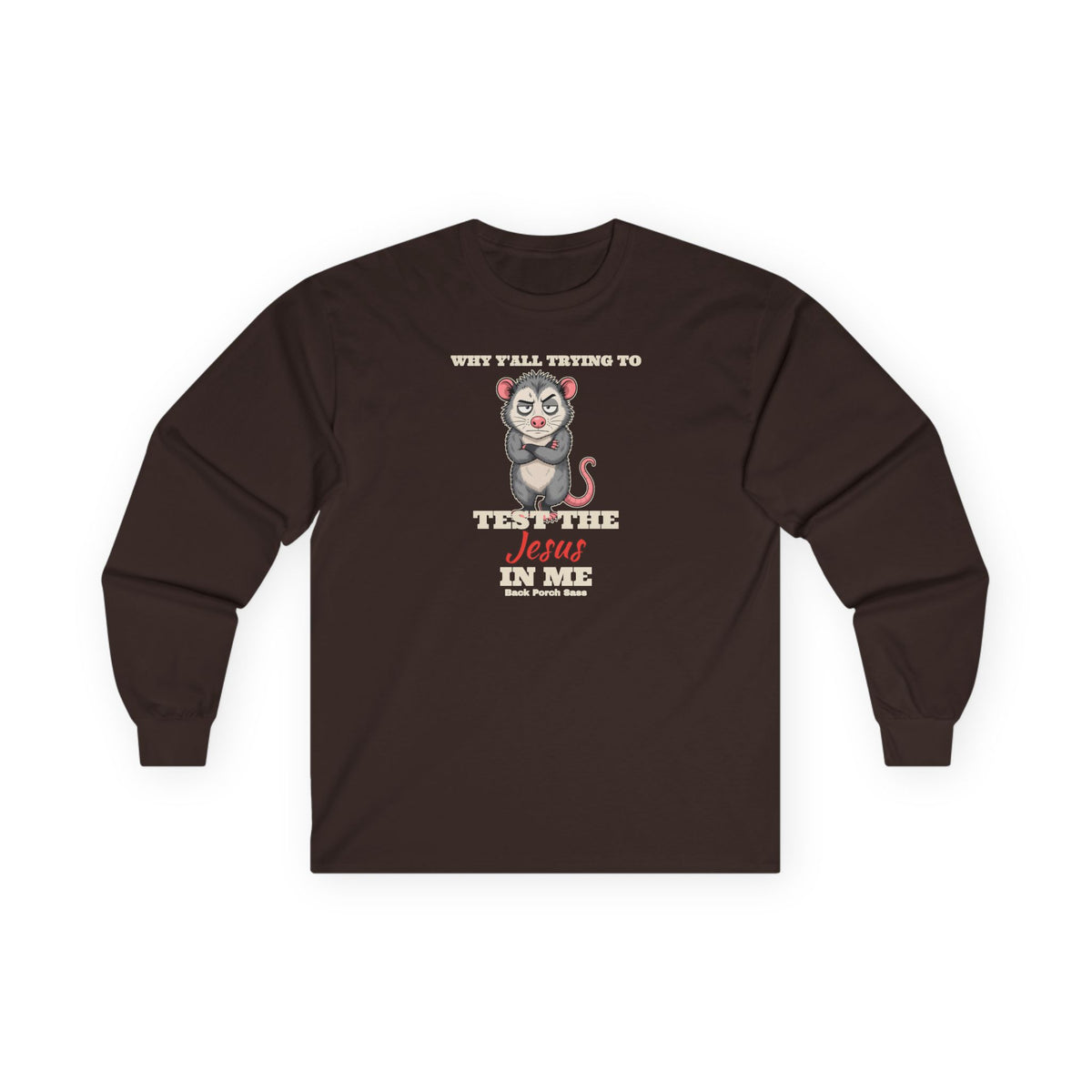 Why Y'all Trying to Test the Jesus in Me Possum Long Sleeve Tee – Back Porch Sass