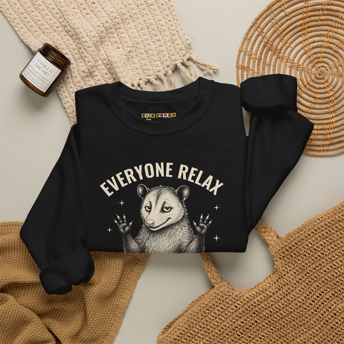 Everyone Relax I'm Professionally Developed - Carl Sweatshirt