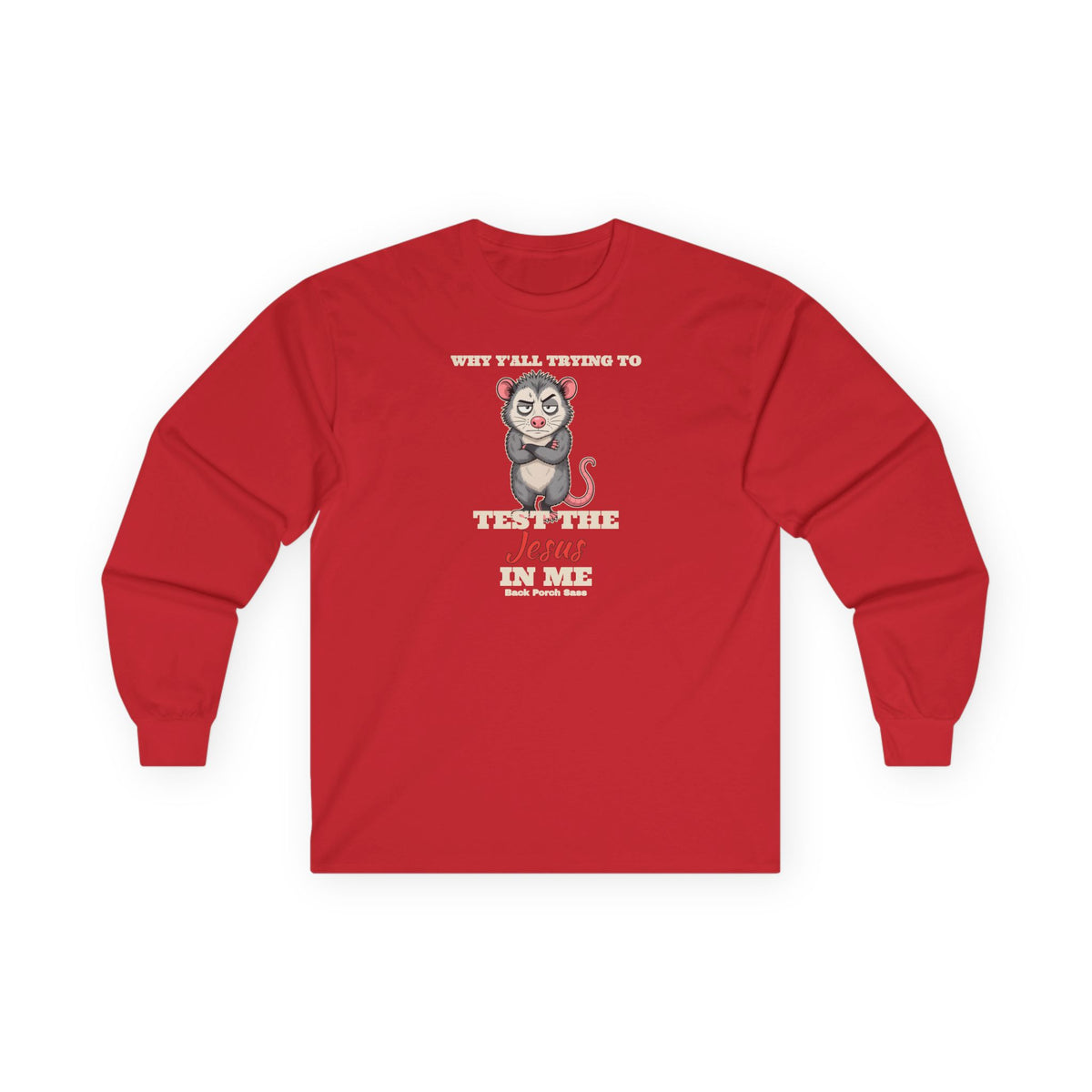 Why Y'all Trying to Test the Jesus in Me Possum Long Sleeve Tee – Back Porch Sass