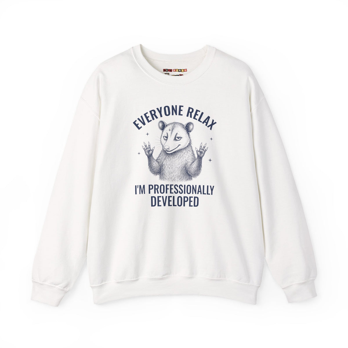 Everyone Relax I'm Professionally Developed - Carl Sweatshirt