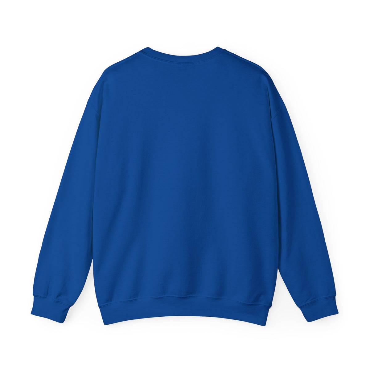 Bless Your Two Cents Possum Sweatshirt – Back Porch Sass