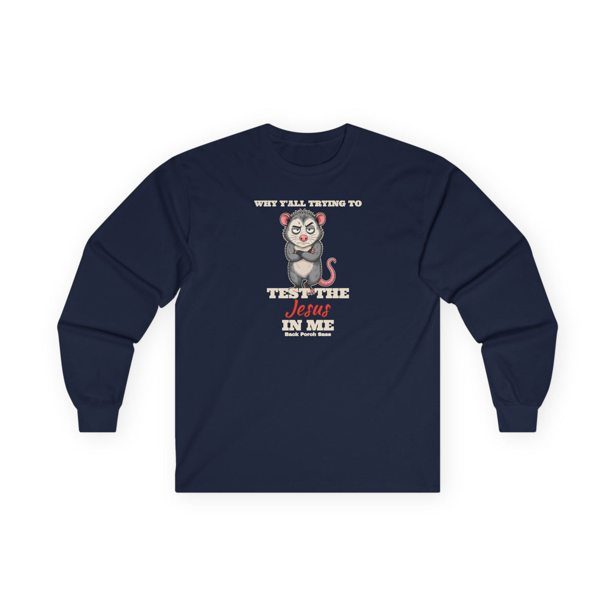 Why Y'all Trying to Test the Jesus in Me Possum Long Sleeve Tee – Back Porch Sass