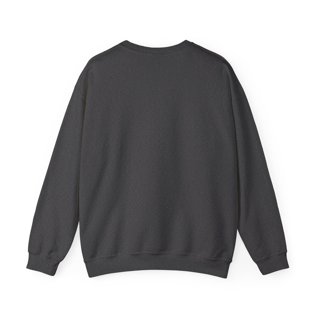 Bless Your Two Cents Possum Sweatshirt – Back Porch Sass