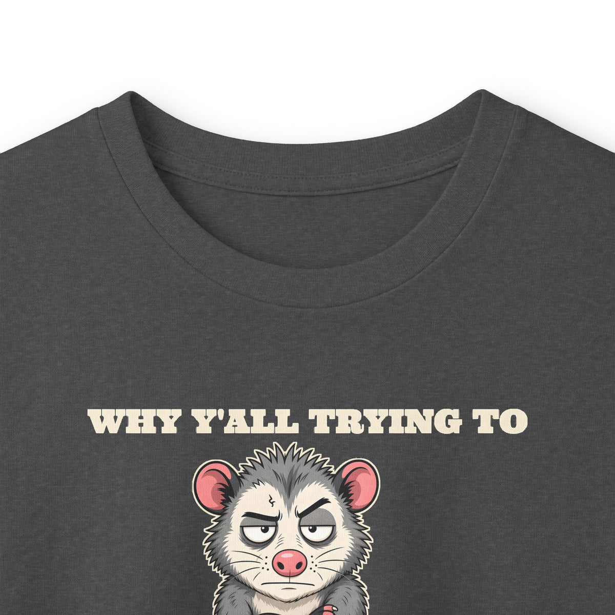 Why Y'all Trying to Test the Jesus in Me Possum Long Sleeve Tee – Back Porch Sass