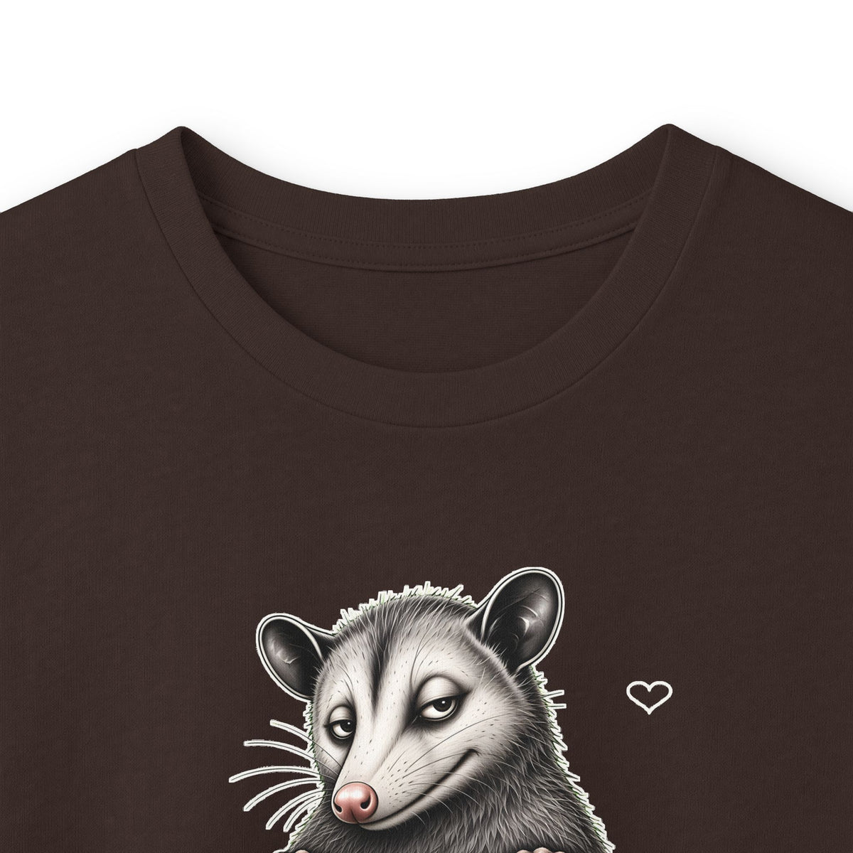 Y'all Need Jesus Side-Eye Possum Long Sleeve Tee
