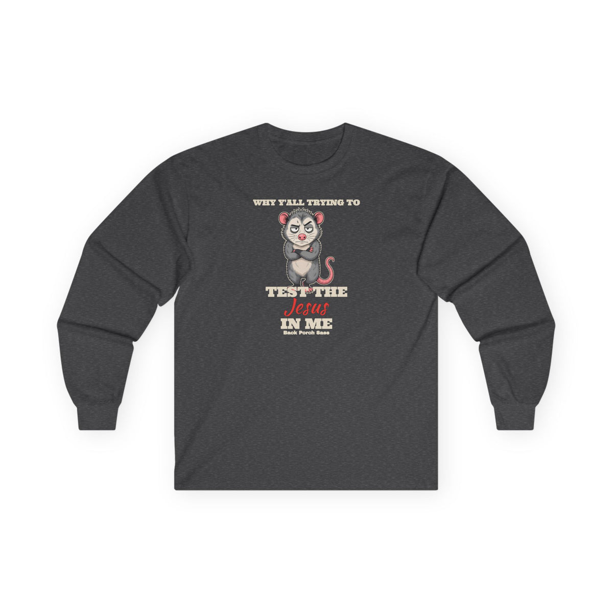 Why Y'all Trying to Test the Jesus in Me Possum Long Sleeve Tee – Back Porch Sass