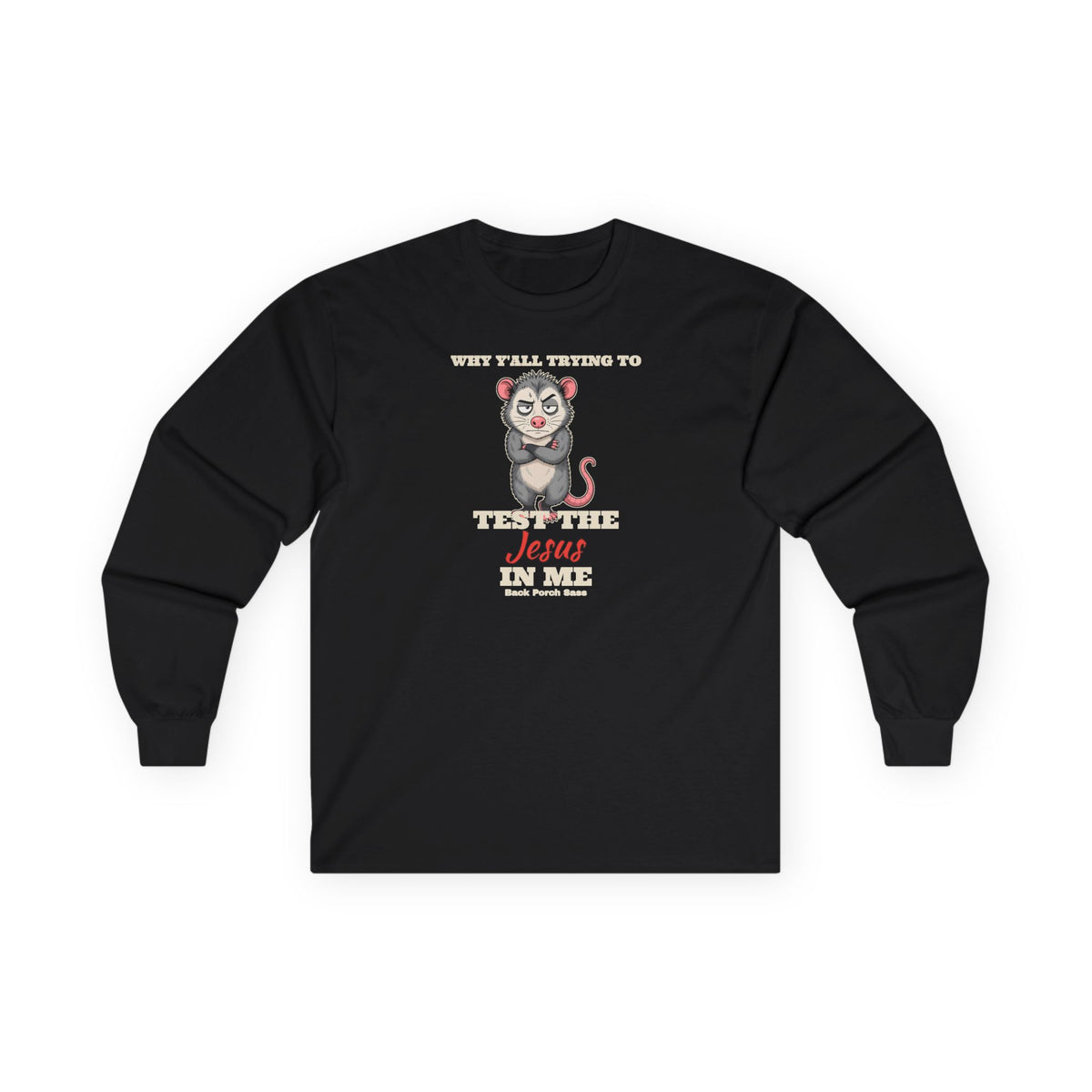 Why Y'all Trying to Test the Jesus in Me Possum Long Sleeve Tee – Back Porch Sass
