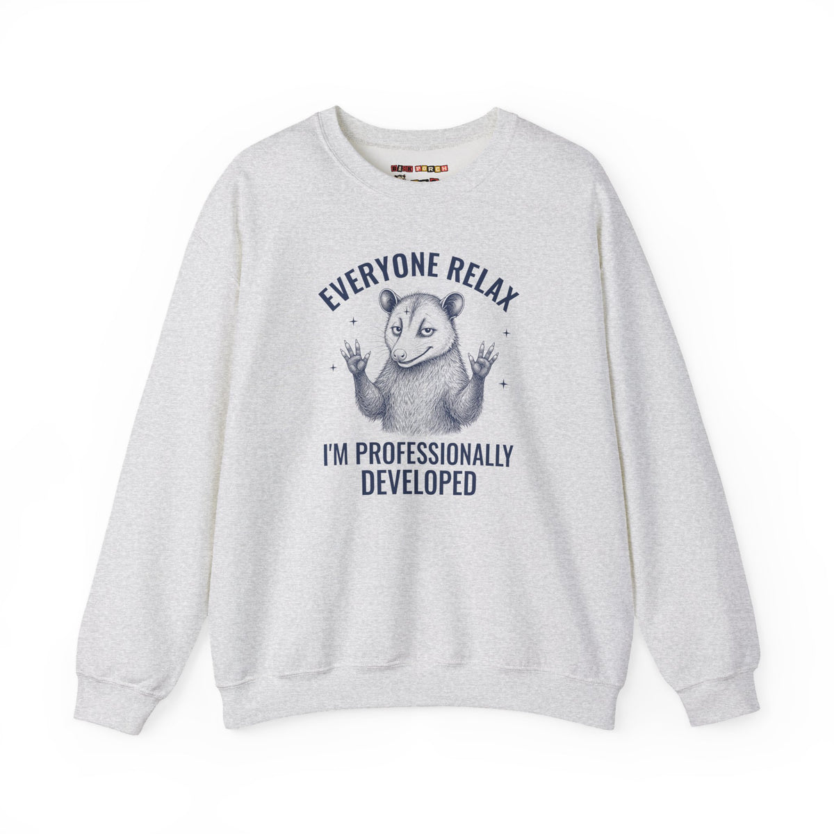 Everyone Relax I'm Professionally Developed - Carl Sweatshirt
