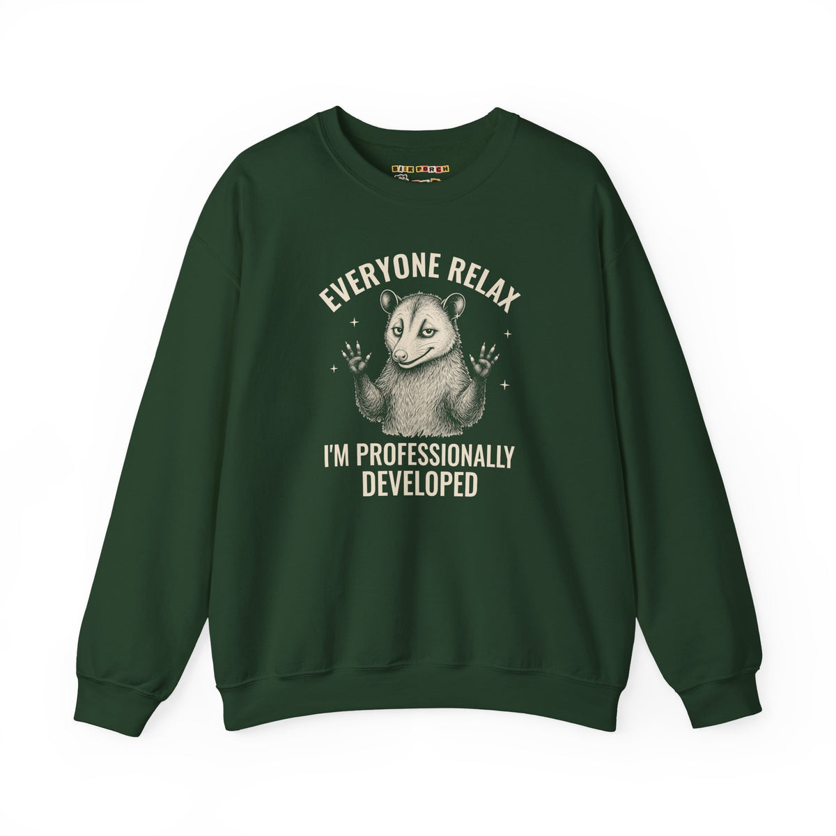 Everyone Relax I'm Professionally Developed - Carl Sweatshirt