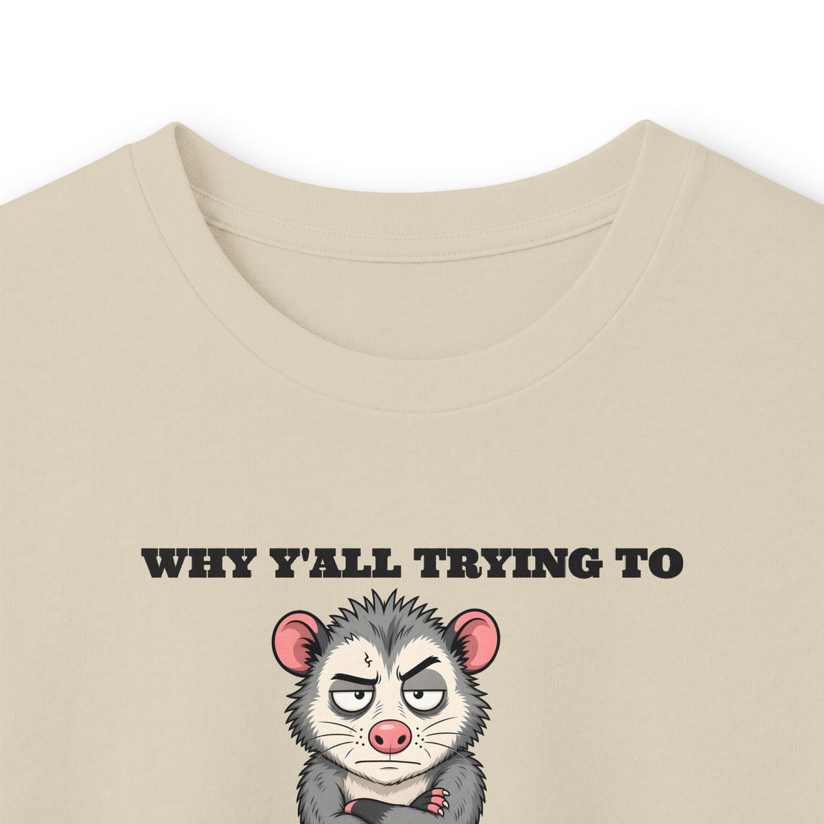 Why Y'all Trying to Test the Jesus in Me Possum Long Sleeve Tee – Back Porch Sass