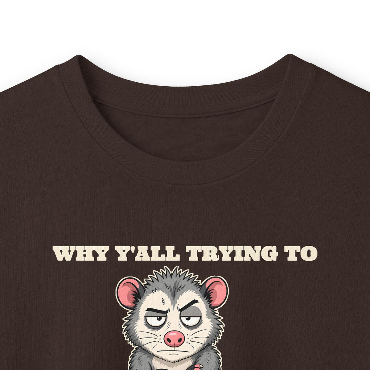 Why Y'all Trying to Test the Jesus in Me Possum Long Sleeve Tee – Back Porch Sass