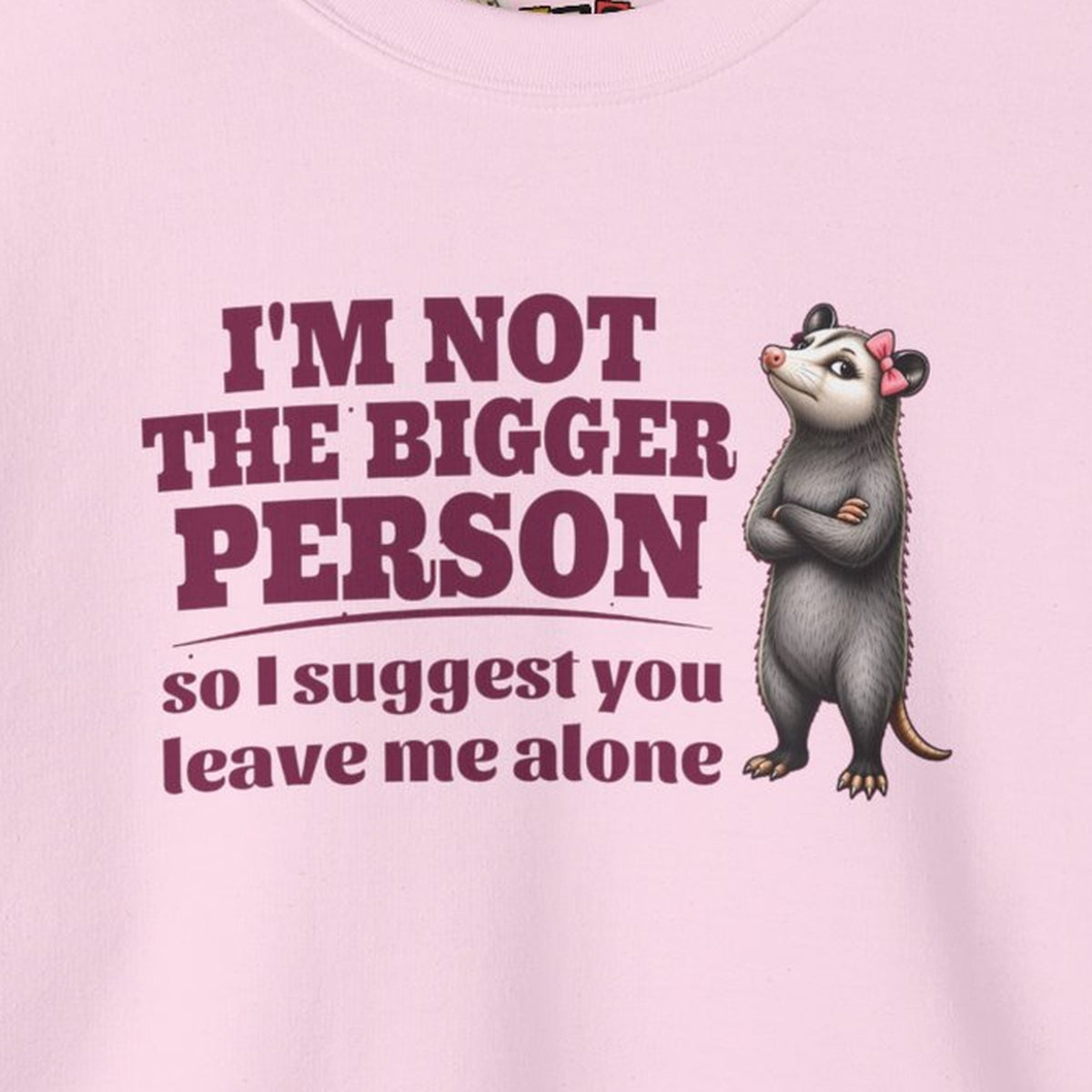 I'm Not The Bigger Person - Carla Sweatshirt – Light Pink – front print close-up