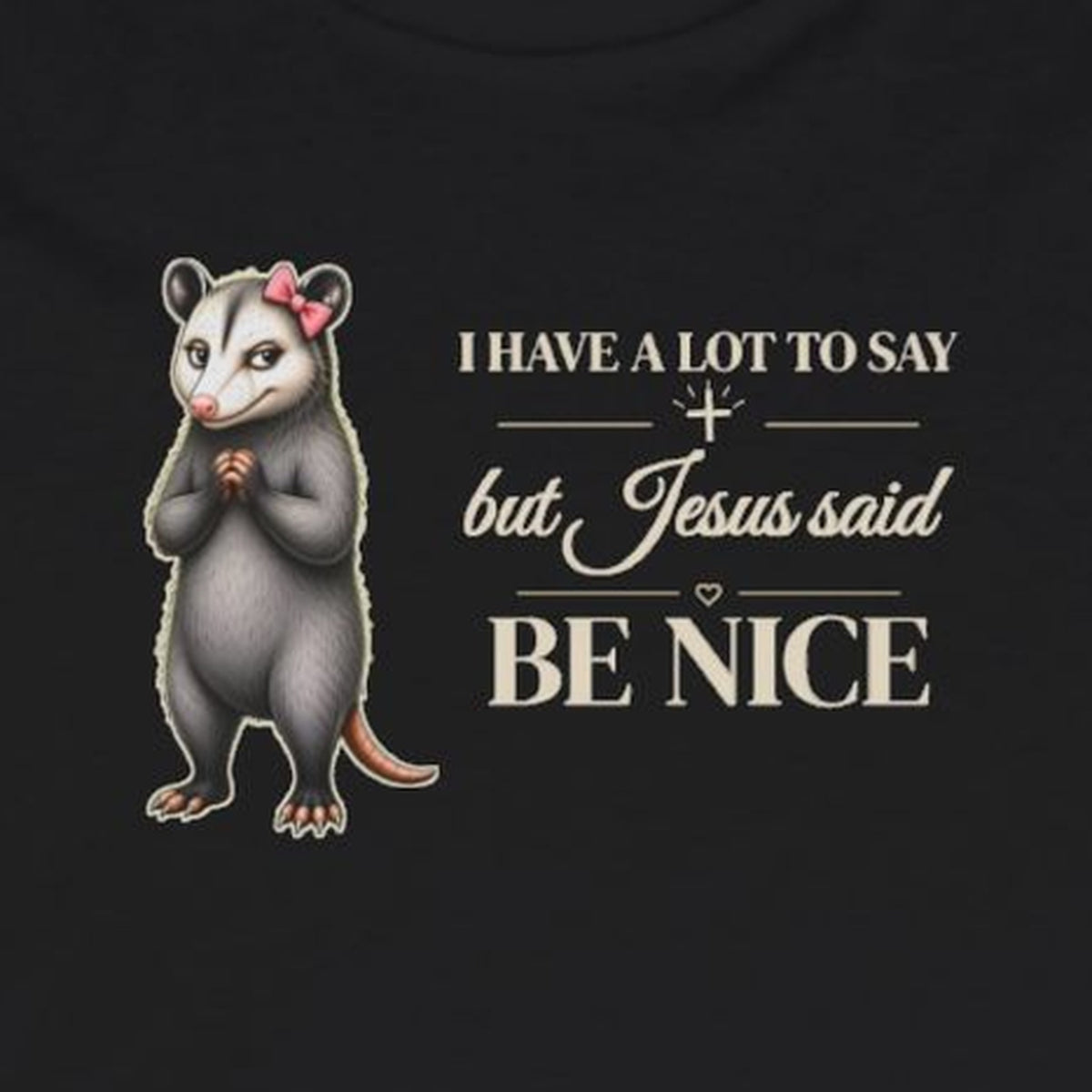 Be Nice Long Sleeve Tee – Black – front print close-up