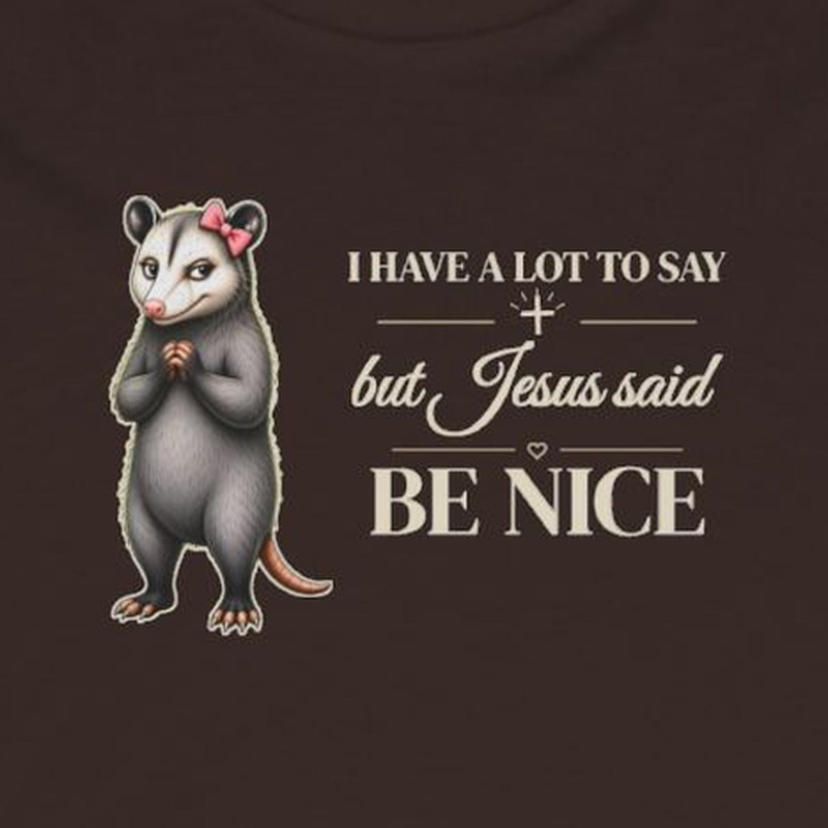 Be Nice Long Sleeve Tee – Dark Chocolate – front print close-up