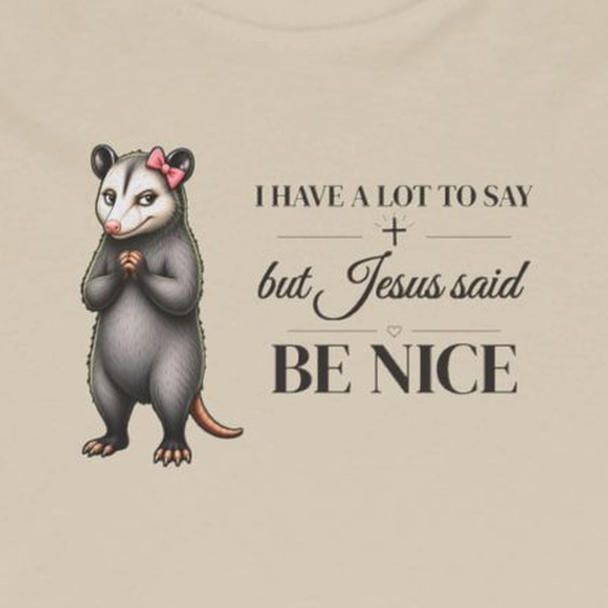 Be Nice Long Sleeve Tee – Sand – front print close-up