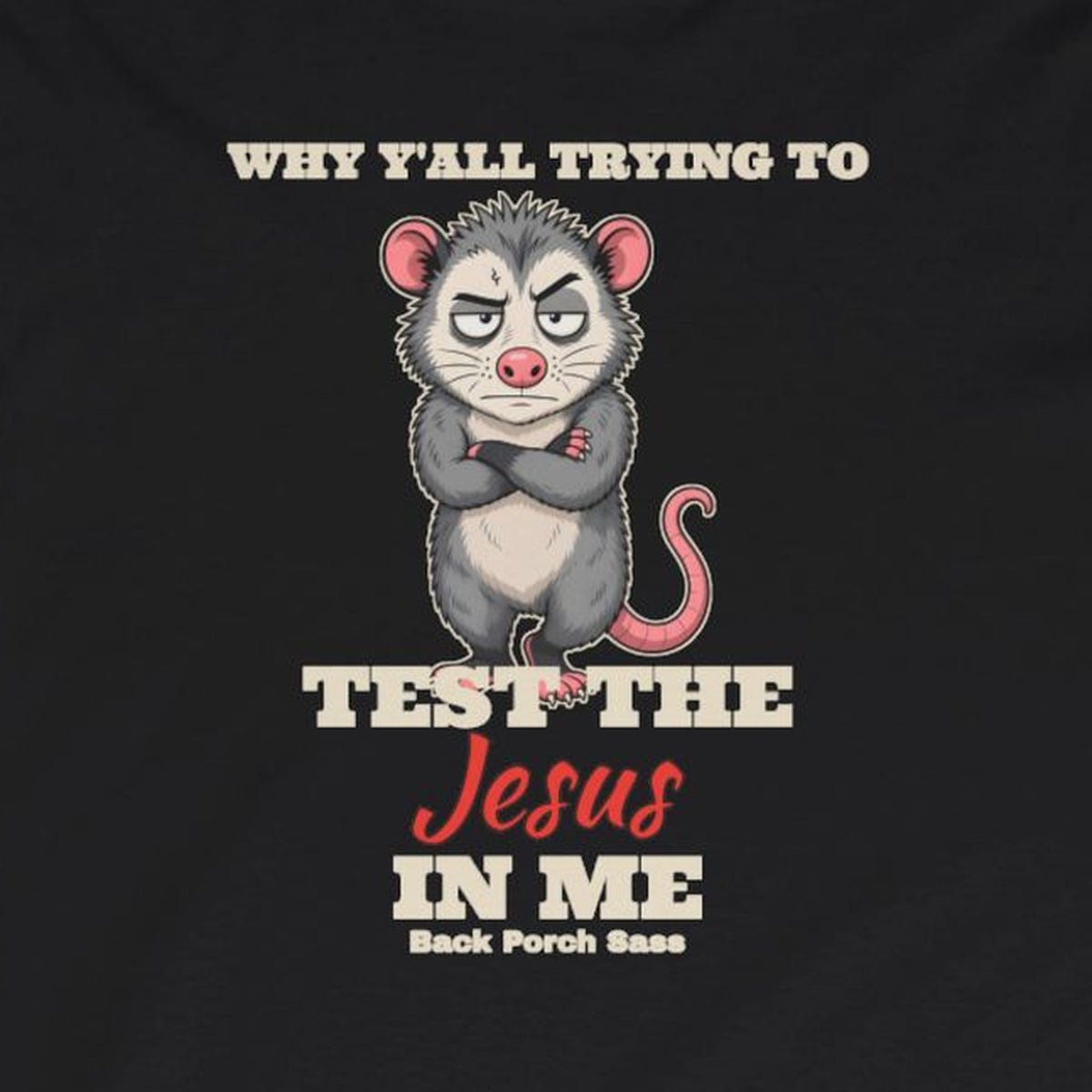 Why Y'all Trying to Test the Jesus in Me Possum Long Sleeve Tee – Back Porch Sass – Black – front print close-up