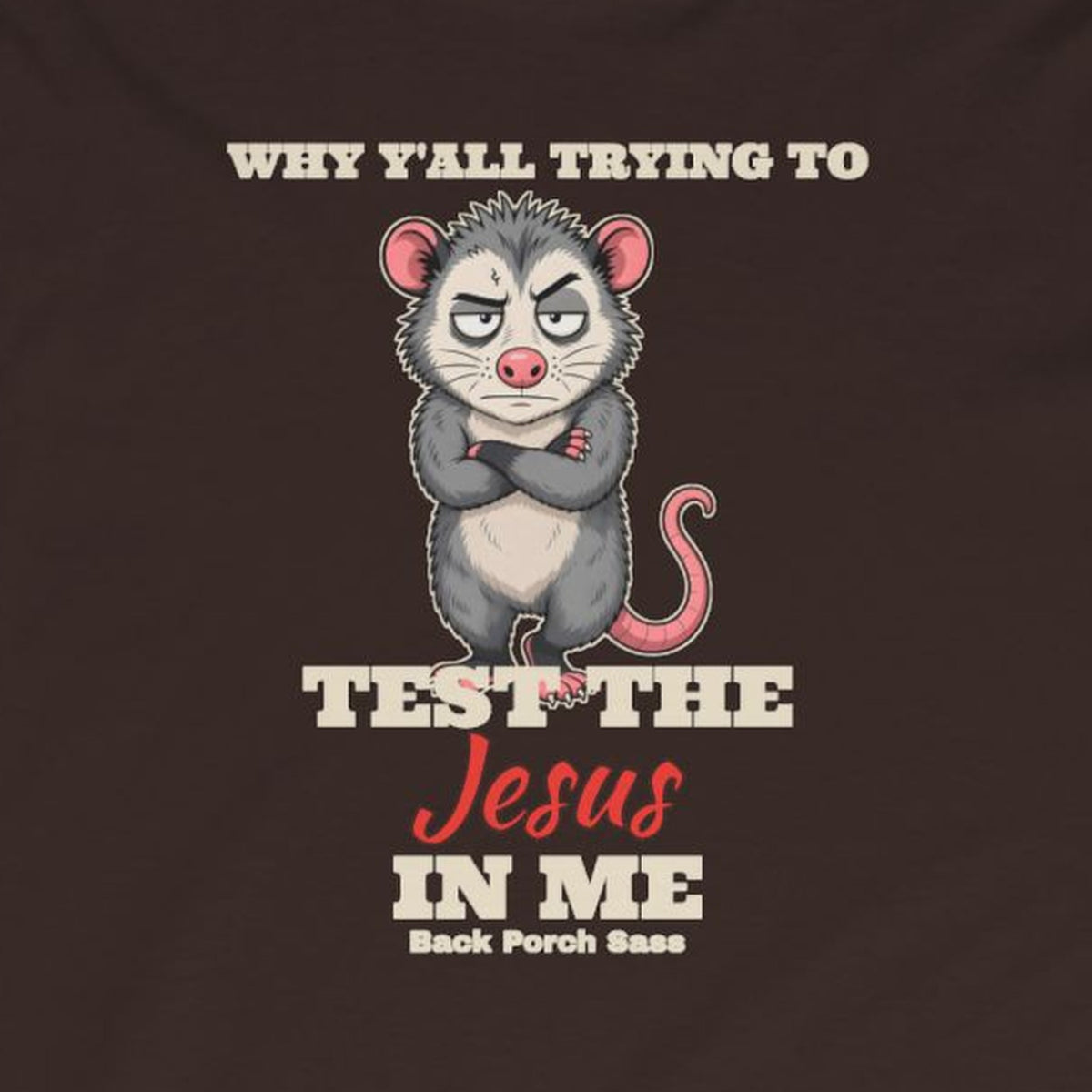 Why Y'all Trying to Test the Jesus in Me Possum Long Sleeve Tee – Back Porch Sass – Dark Chocolate – front print close-up