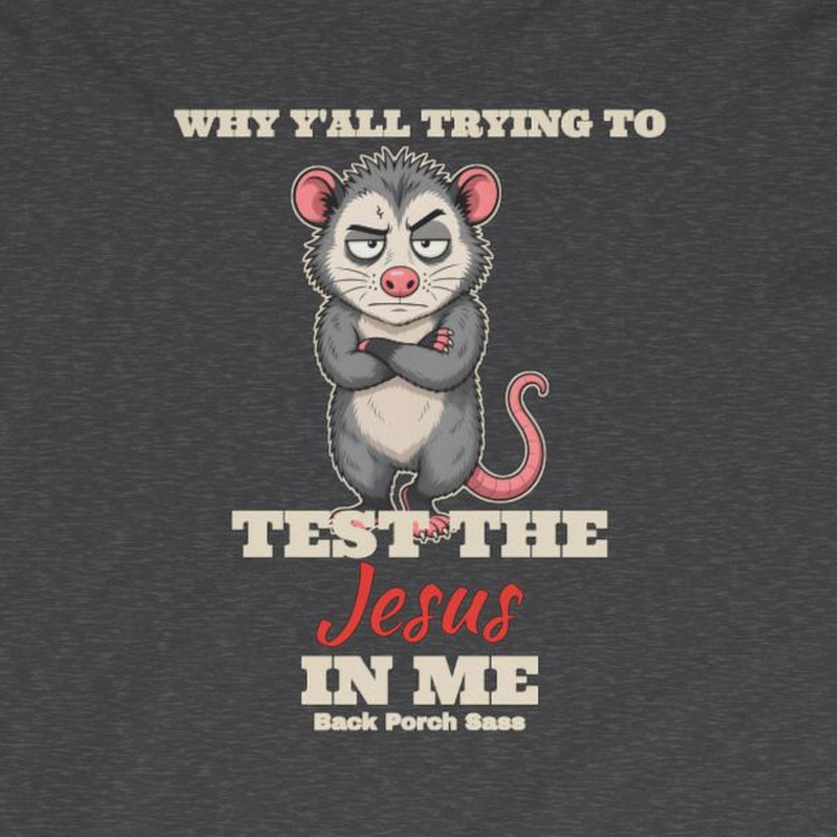 Why Y'all Trying to Test the Jesus in Me Possum Long Sleeve Tee – Back Porch Sass – Dark Heather – front print close-up