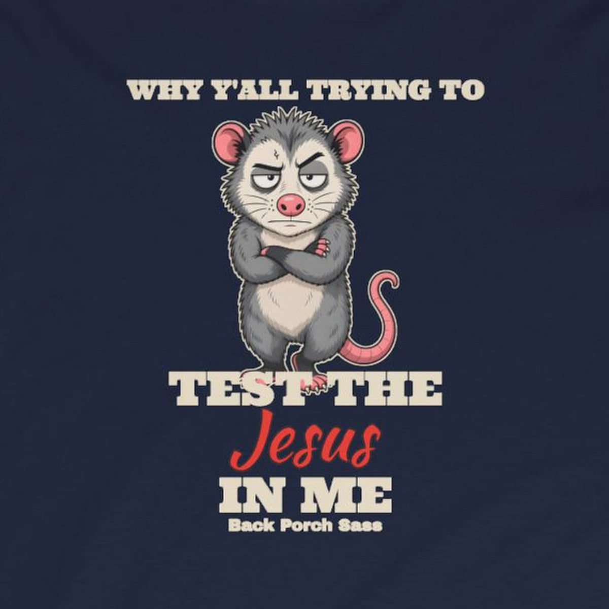 Why Y'all Trying to Test the Jesus in Me Possum Long Sleeve Tee – Back Porch Sass – Navy – front print close-up