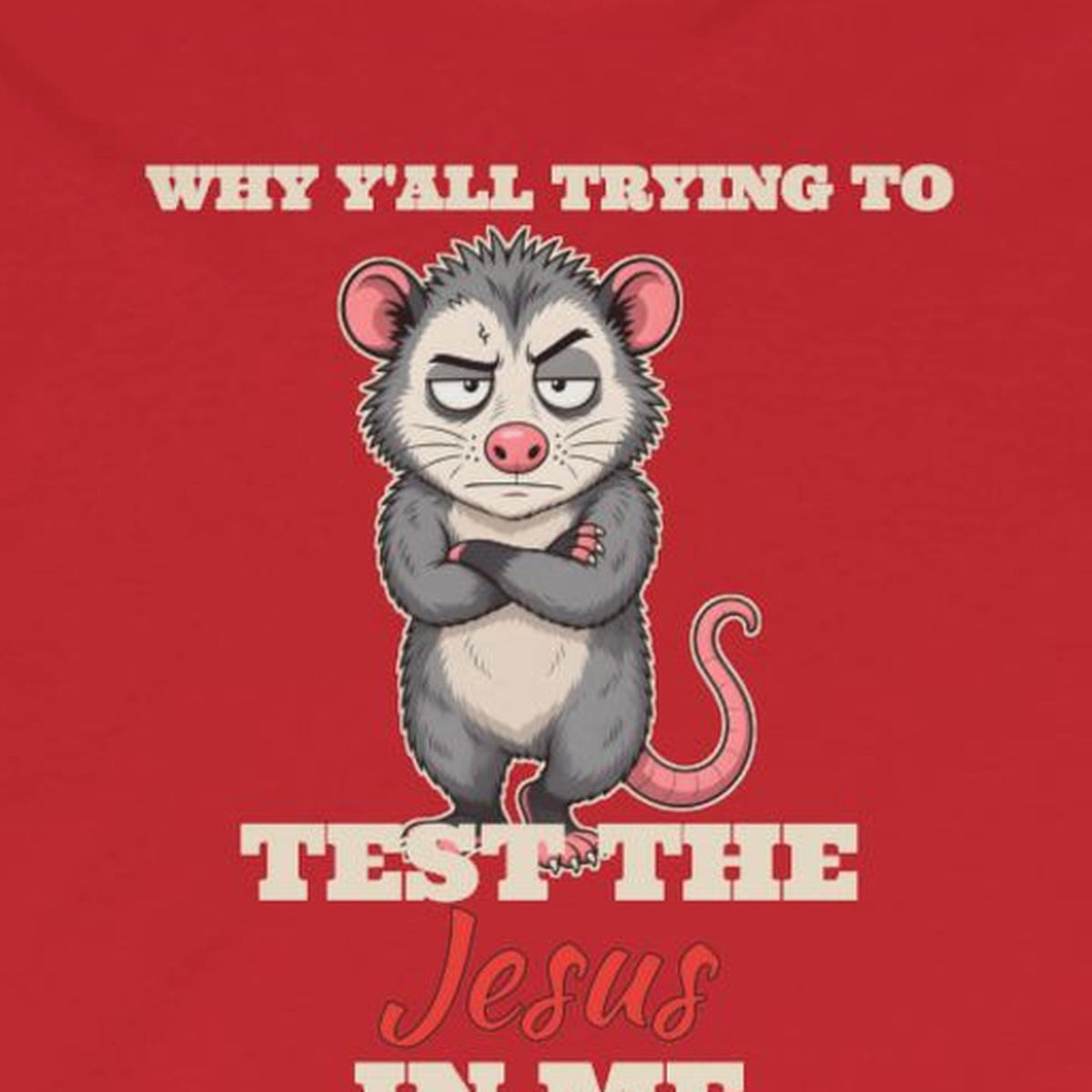 Why Y'all Trying to Test the Jesus in Me Possum Long Sleeve Tee – Back Porch Sass – Red – front print close-up