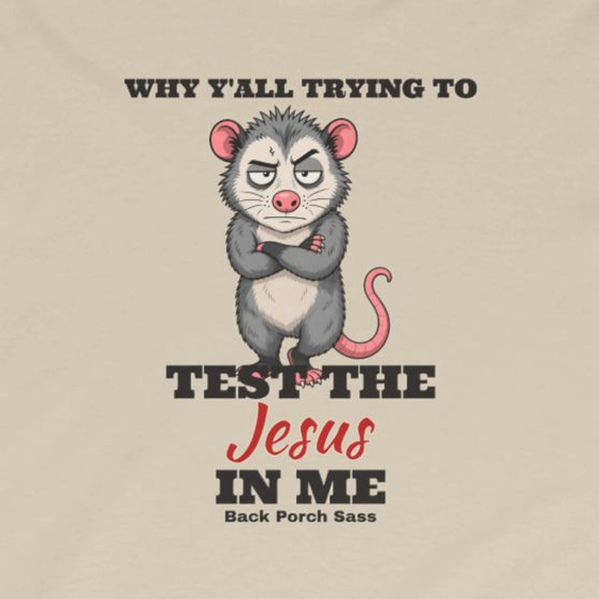 Why Y'all Trying to Test the Jesus in Me Possum Long Sleeve Tee – Back Porch Sass – Sand – front print close-up