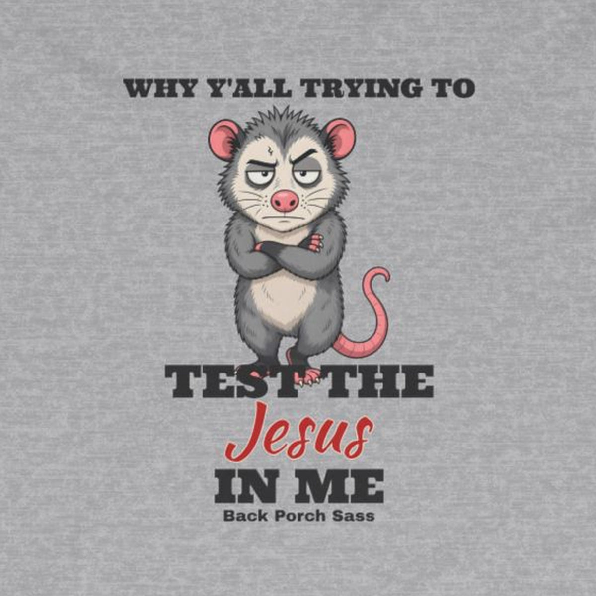Why Y'all Trying to Test the Jesus in Me Possum Long Sleeve Tee – Back Porch Sass – Sport Grey – front print close-up