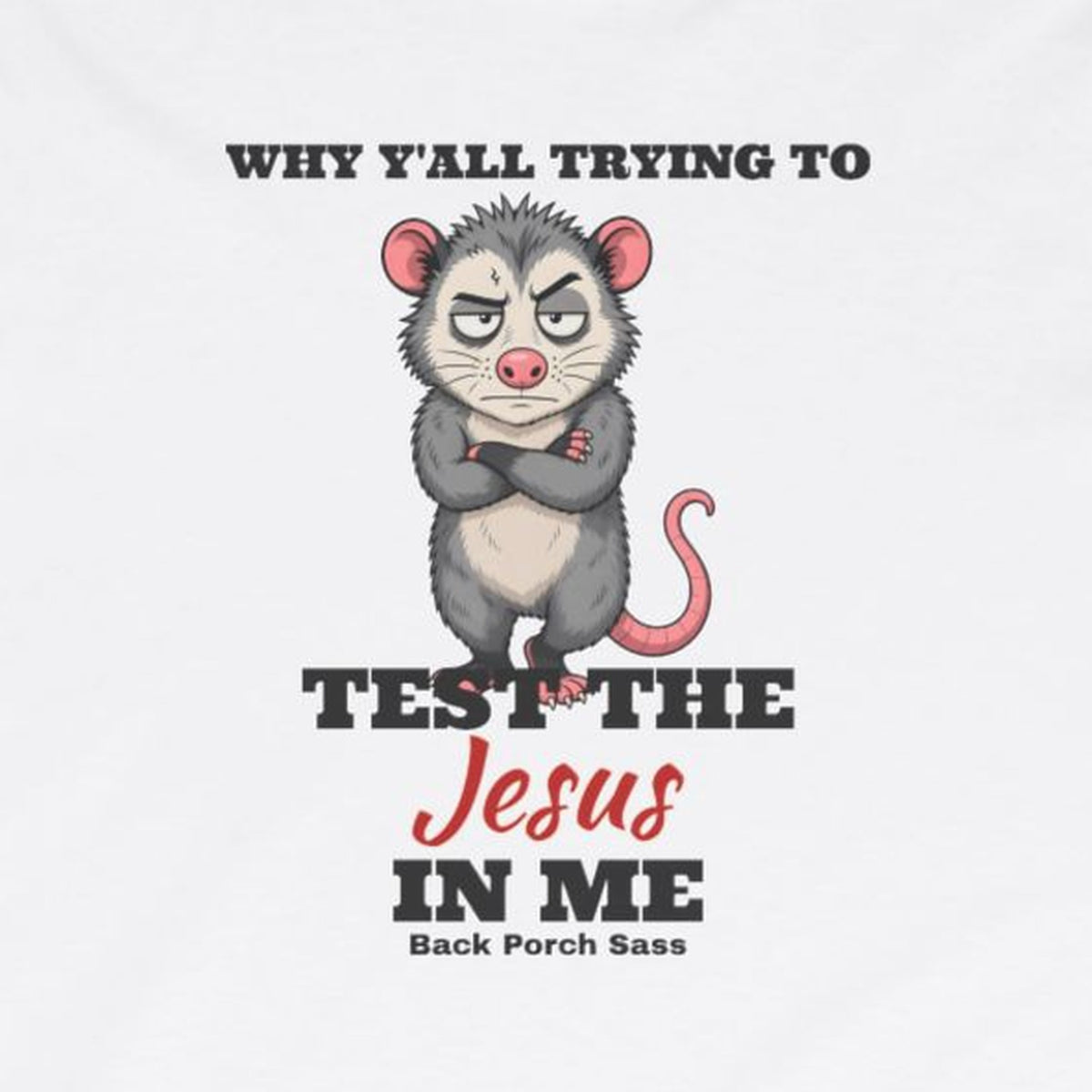 Why Y'all Trying to Test the Jesus in Me Possum Long Sleeve Tee – Back Porch Sass – White – front print close-up