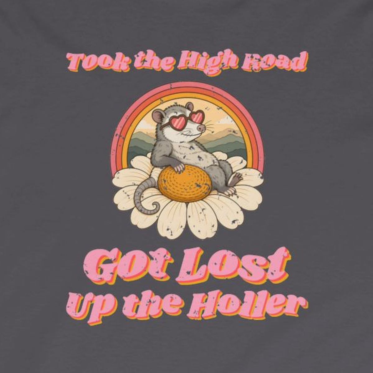 Took the High Road Got Lost Up the Holler Long Sleeve Tee – Back Porch Sass – Charcoal – front print close-up