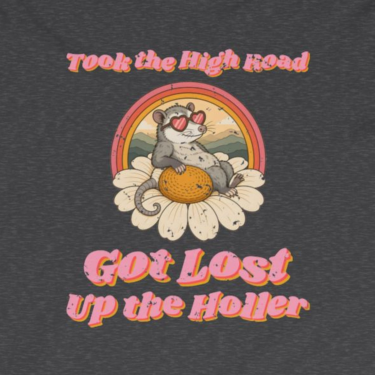 Took the High Road Got Lost Up the Holler Long Sleeve Tee – Back Porch Sass – Dark Heather – front print close-up