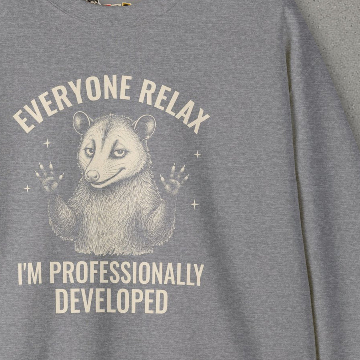 Everyone Relax I'm Professionally Developed - Carl Sweatshirt – Graphite Heather – front print close-up