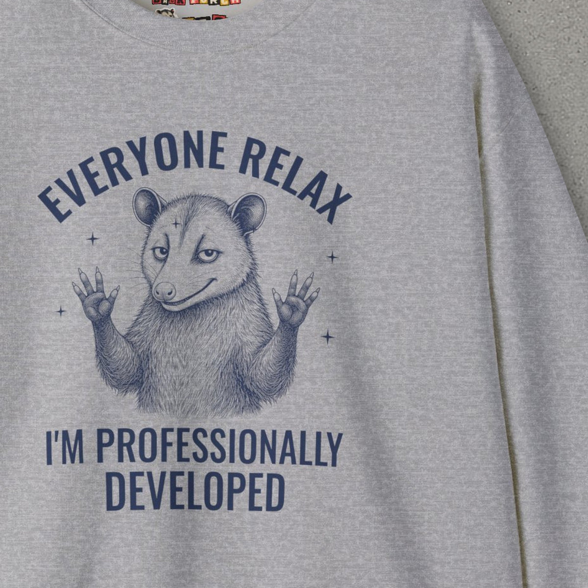 Everyone Relax I'm Professionally Developed - Carl Sweatshirt – Sport Grey – front print close-up