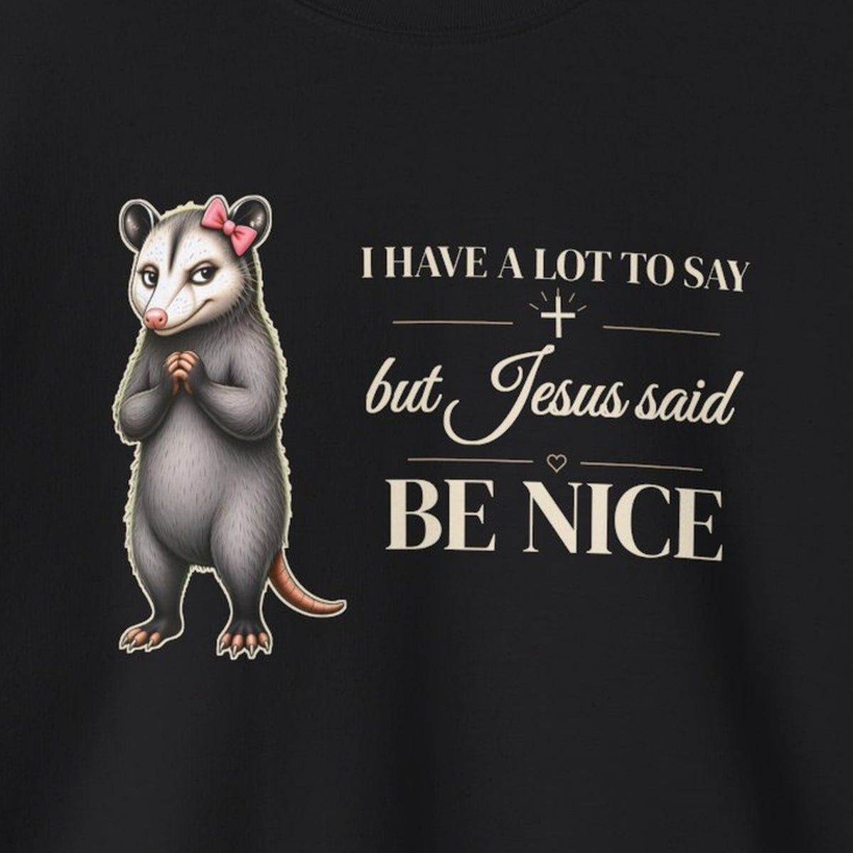 Be Nice Sweatshirt – Black – front print close-up
