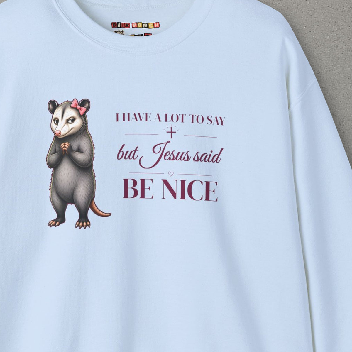 Be Nice Sweatshirt – Light Blue – front print close-up