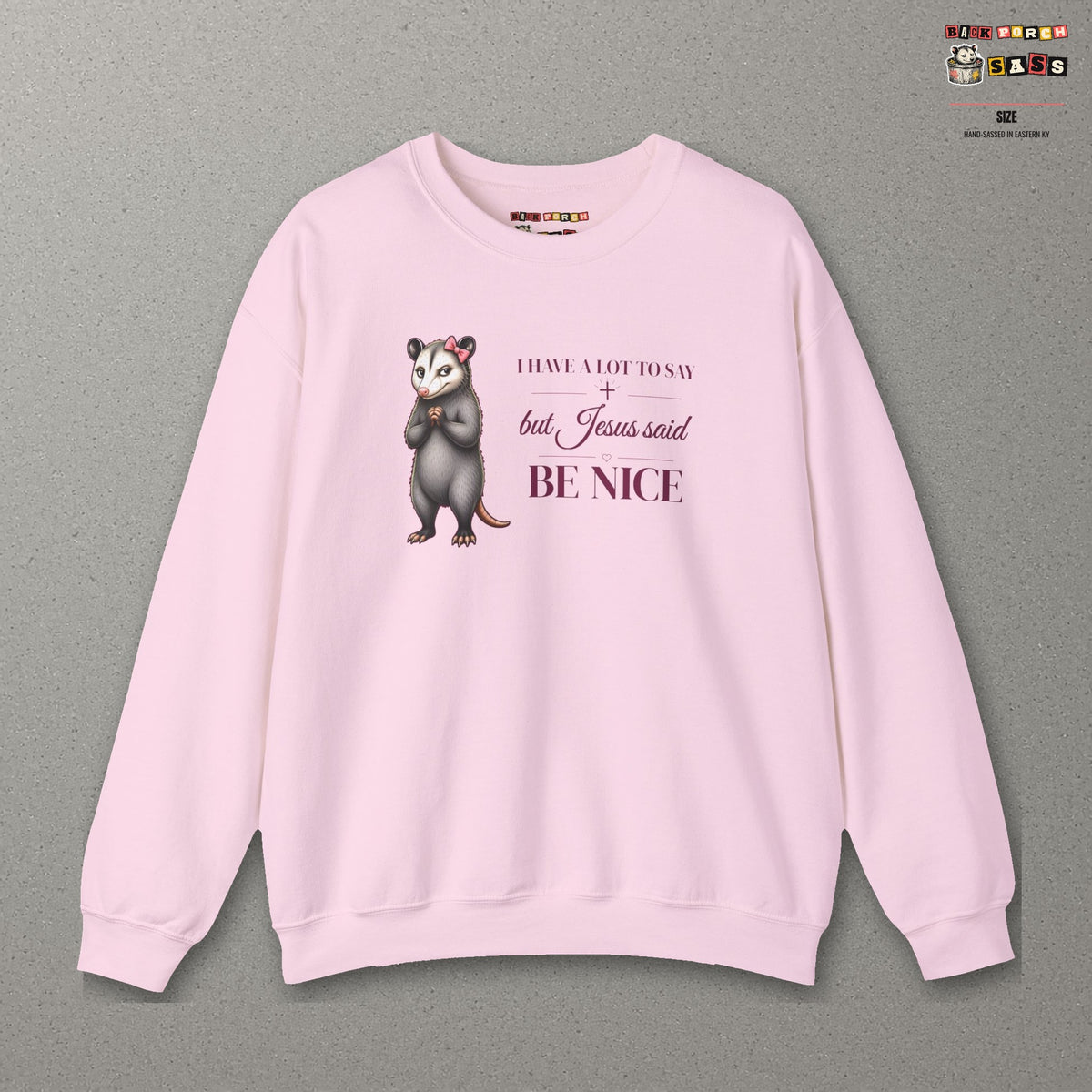 Be Nice Sweatshirt – Light Pink – front