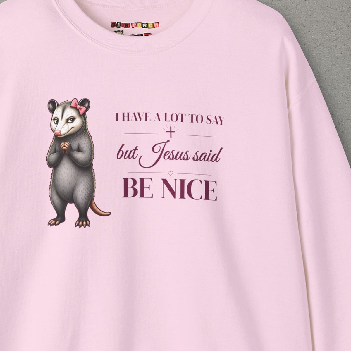 Be Nice Sweatshirt – Light Pink – front print close-up