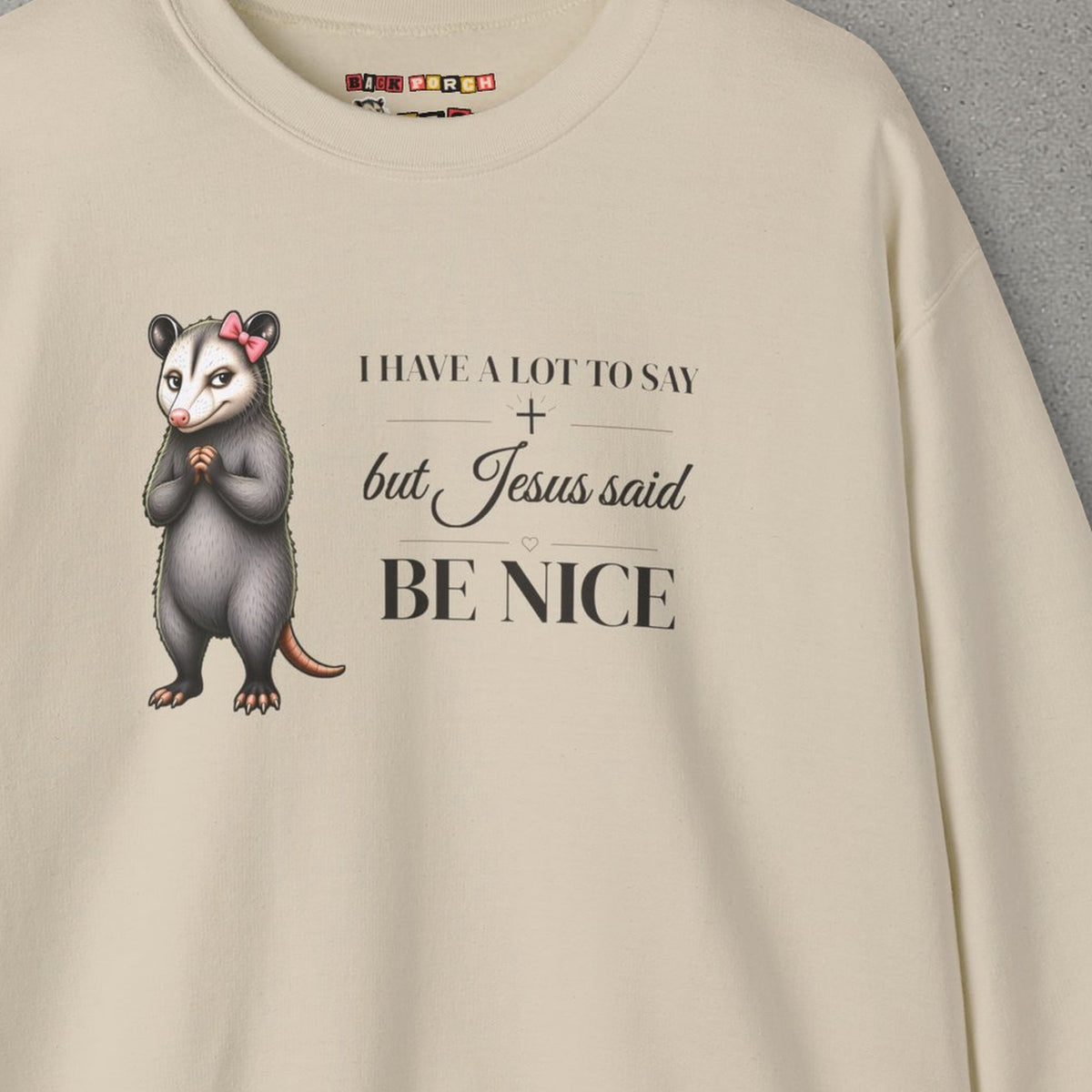 Be Nice Sweatshirt – Sand – front print close-up
