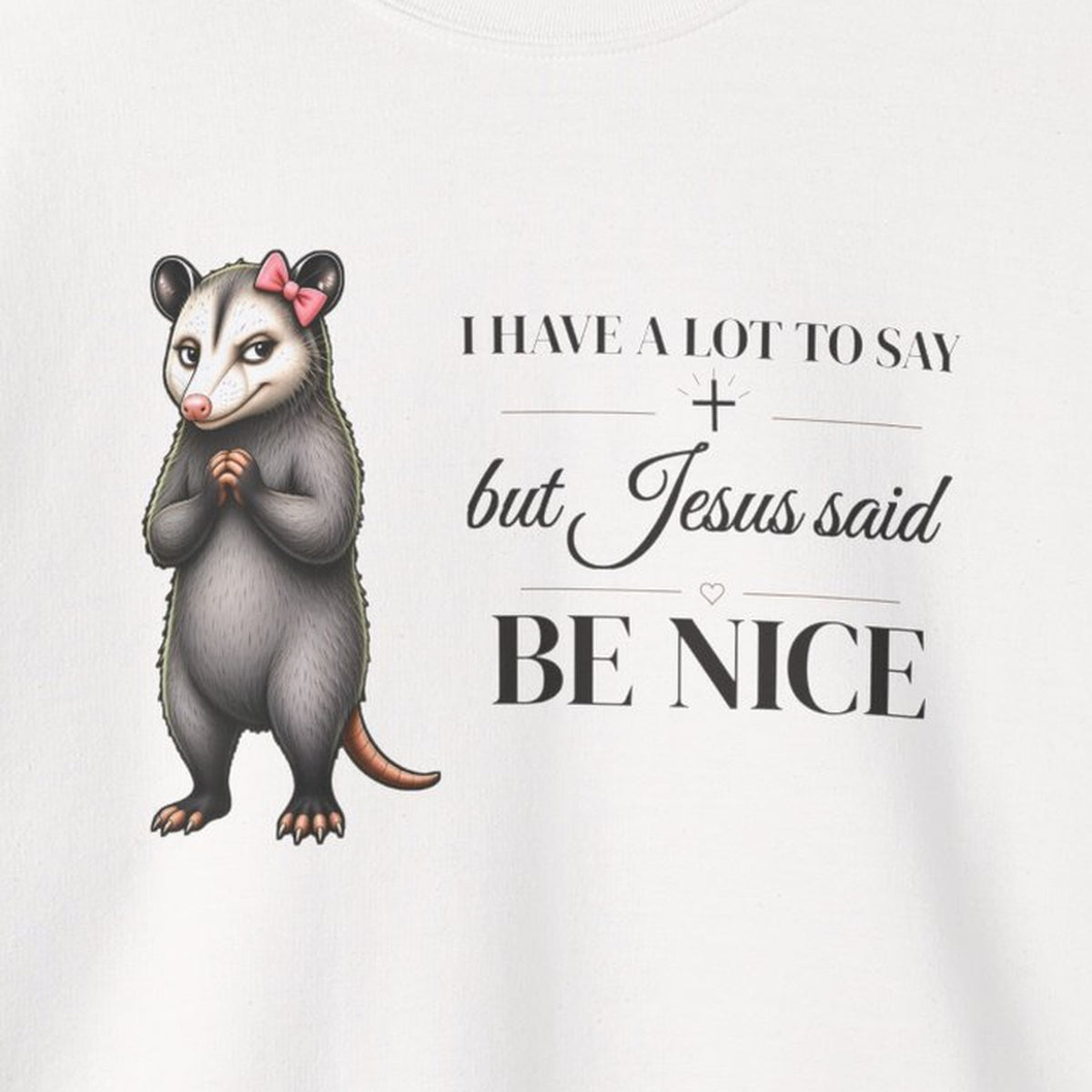 Be Nice Sweatshirt – White – front print close-up