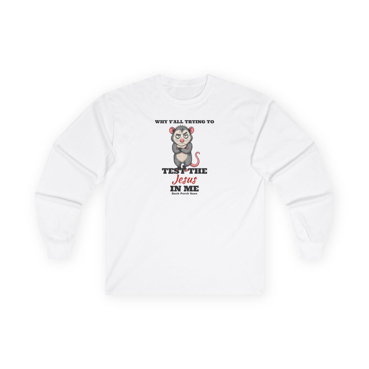 Why Y'all Trying to Test the Jesus in Me Possum Long Sleeve Tee – Back Porch Sass