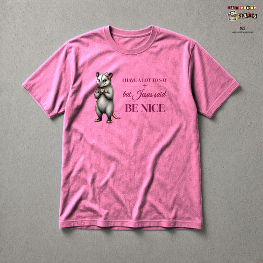 Be Nice Tee in Azalea – Back Porch Sass by The Hillbillies