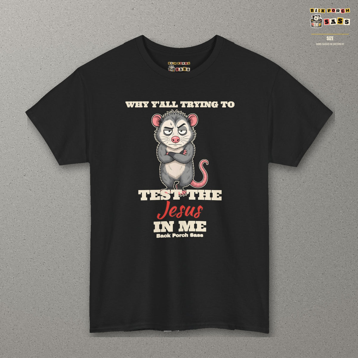 Why Y'all Trying to Test the Jesus in Me Possum Tee – Back Porch Sass – Black – front