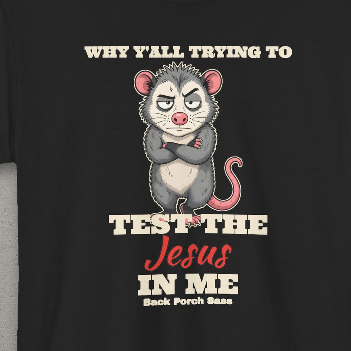 Why Y'all Trying to Test the Jesus in Me Possum Tee – Back Porch Sass – Black – front print close-up