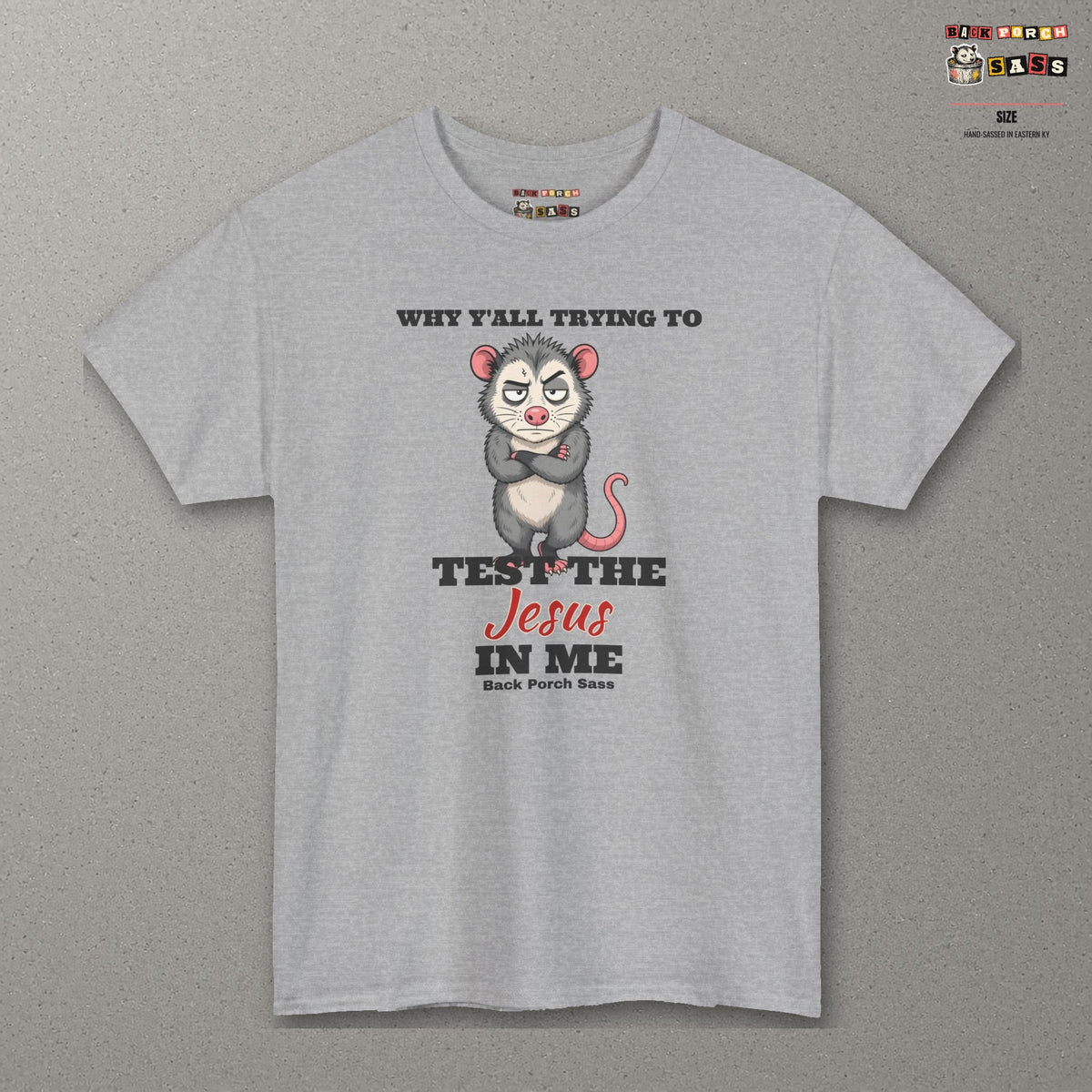 Why Y'all Trying to Test the Jesus in Me Possum Tee – Back Porch Sass – Sport Grey – front