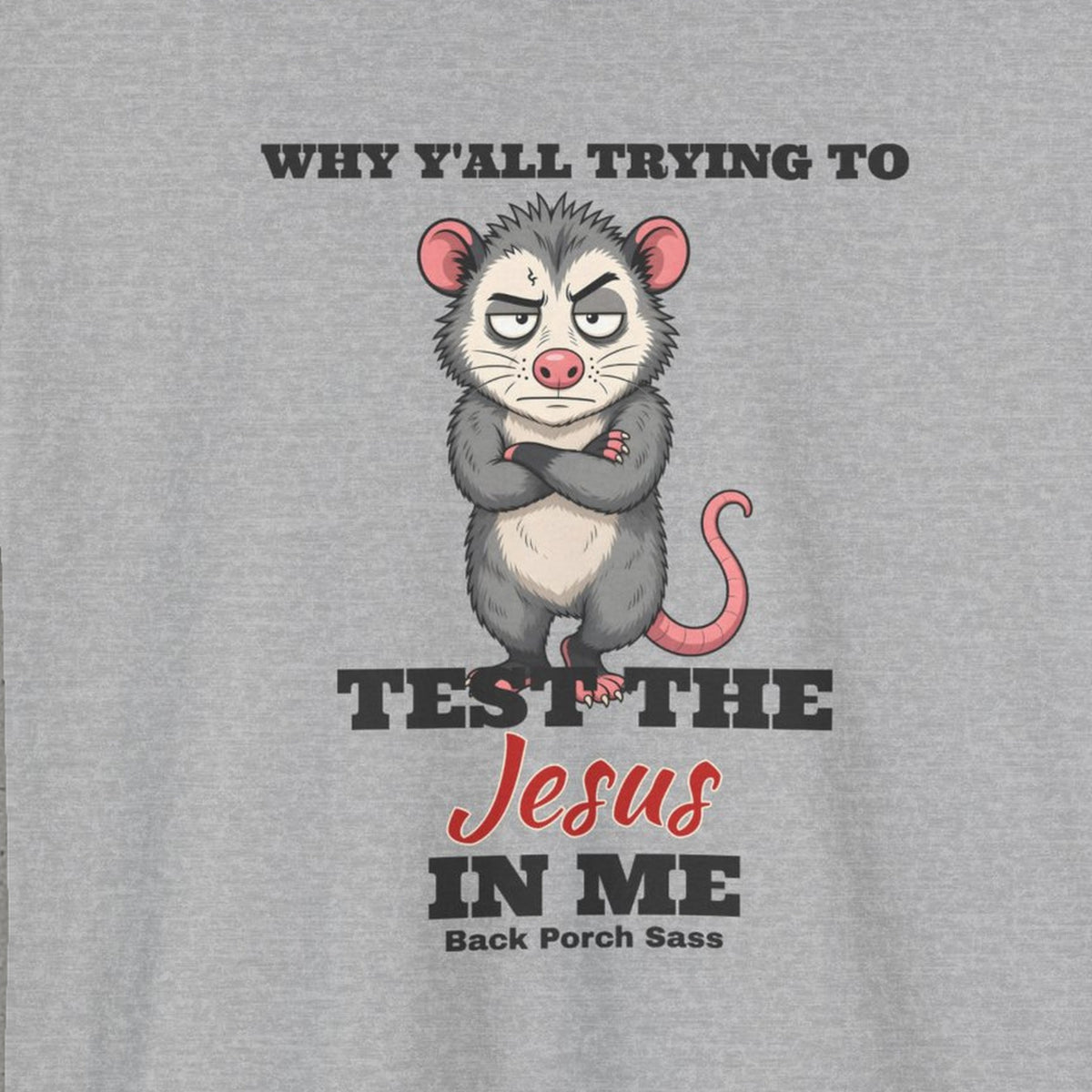 Why Y'all Trying to Test the Jesus in Me Possum Tee – Back Porch Sass – Sport Grey – front print close-up
