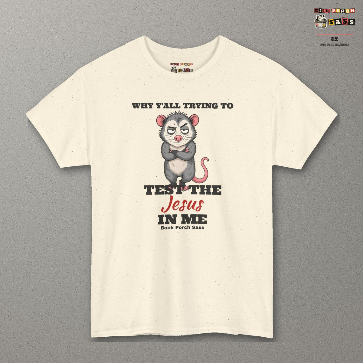 Why Y'all Trying to Test the Jesus in Me Possum Tee – Back Porch Sass – Natural – front