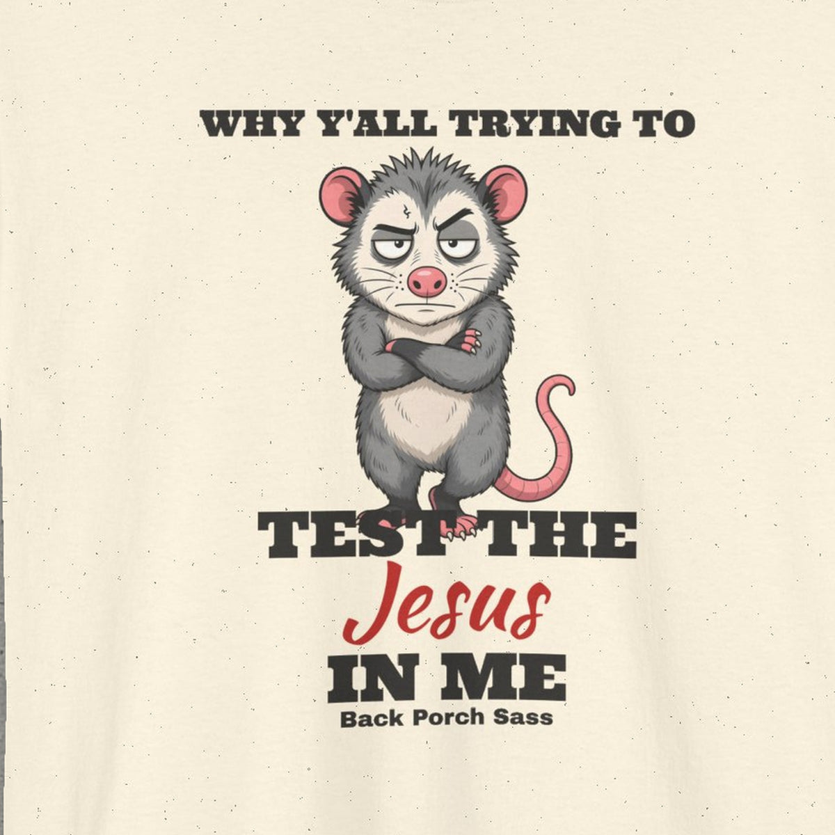 Why Y'all Trying to Test the Jesus in Me Possum Tee – Back Porch Sass – Natural – front print close-up