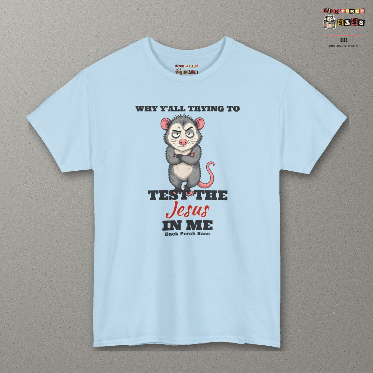 Why Y'all Trying to Test the Jesus in Me Possum Tee – Back Porch Sass – Light Blue – front