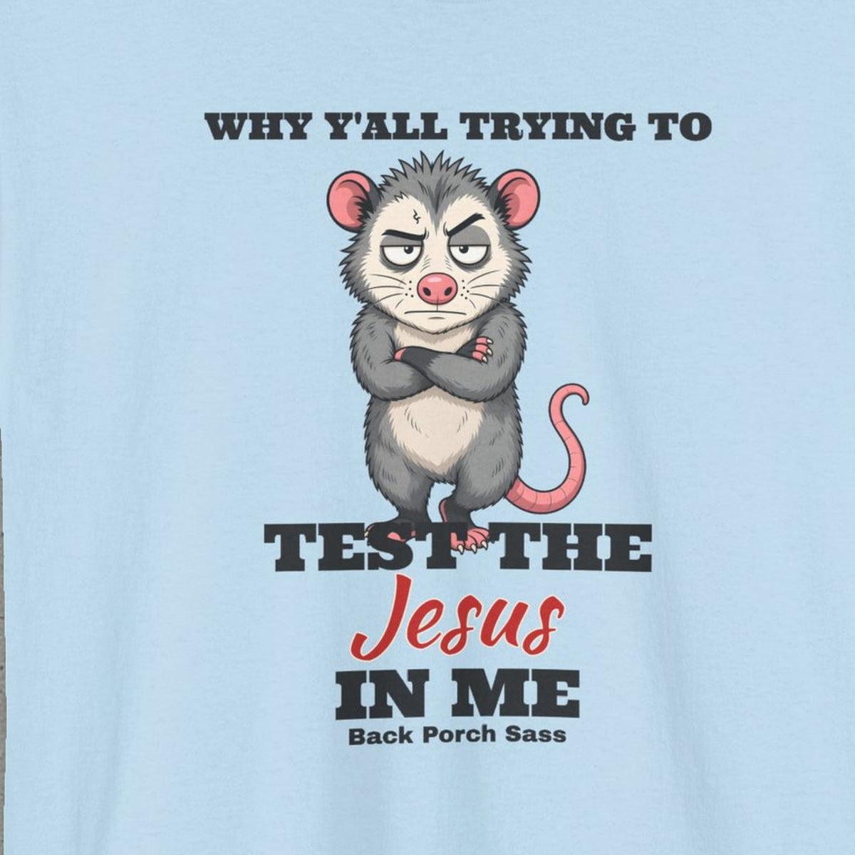 Why Y'all Trying to Test the Jesus in Me Possum Tee – Back Porch Sass – Light Blue – front print close-up