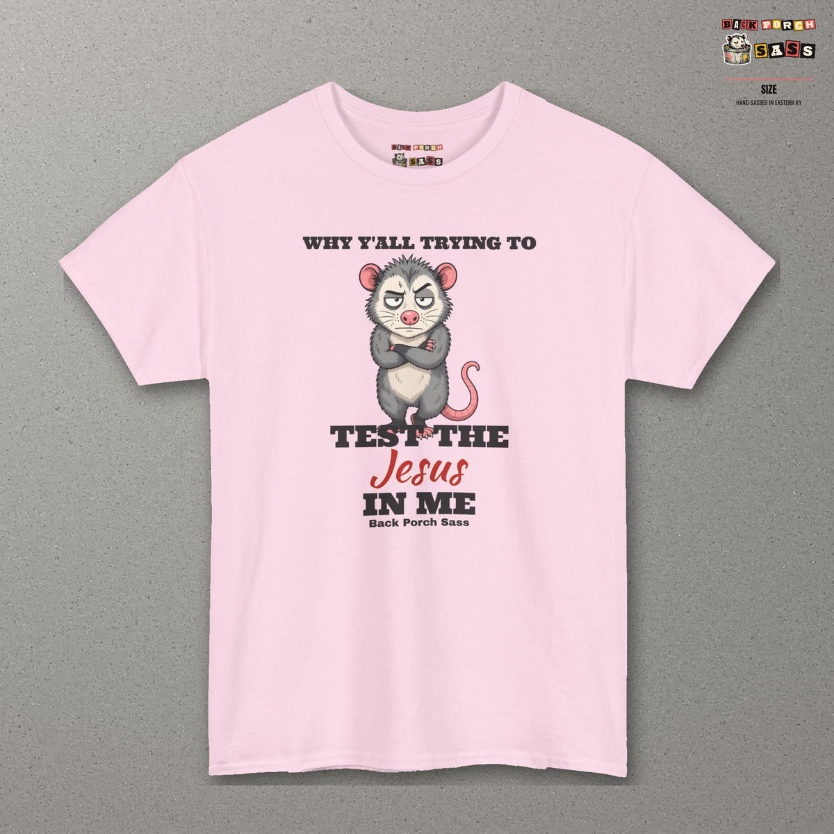 Why Y'all Trying to Test the Jesus in Me Possum Tee – Back Porch Sass – Light Pink – front